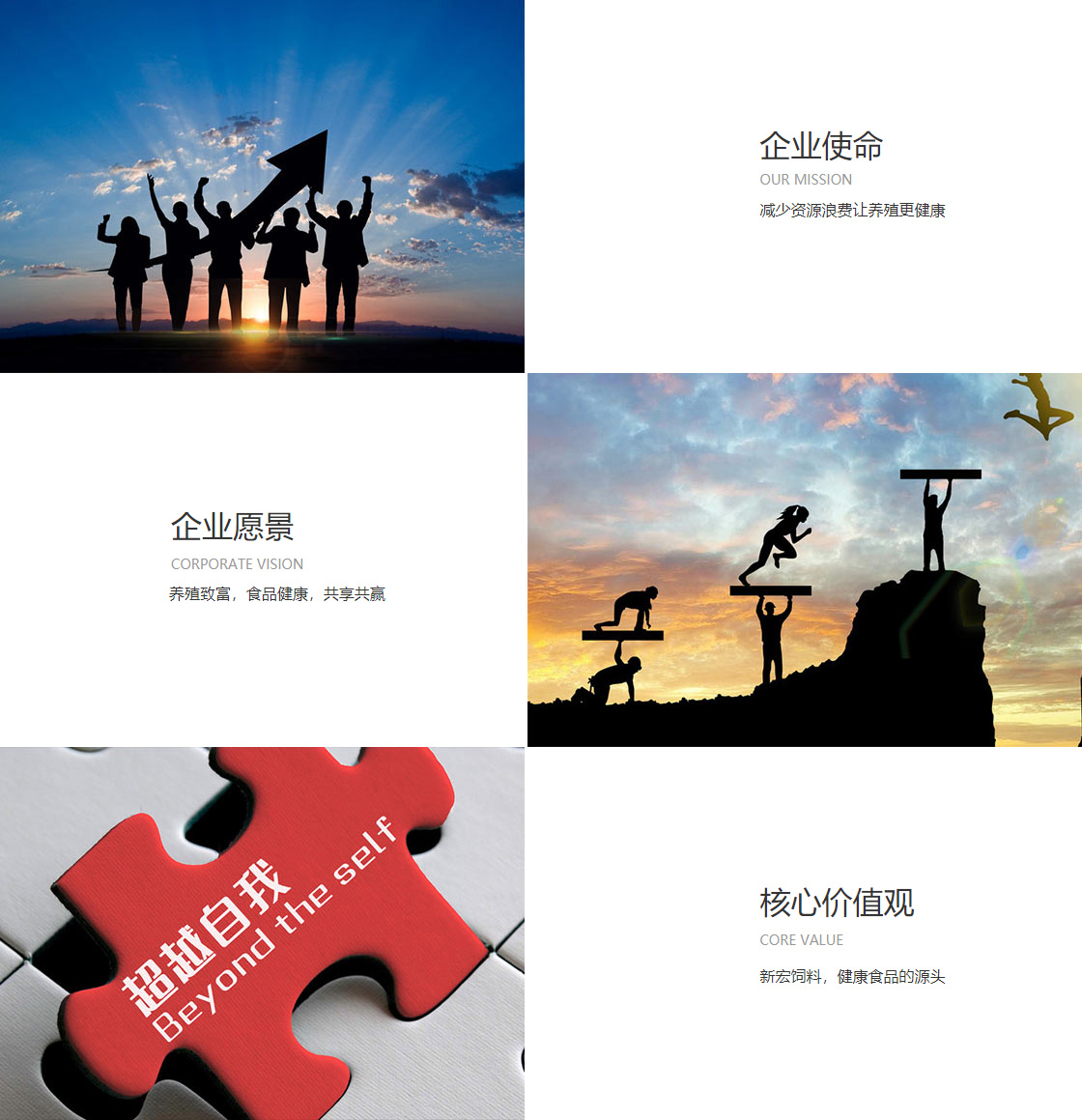 8868平台登录(图1)